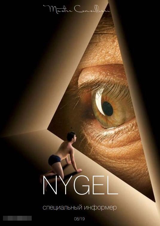 [Мастер Консильери] NYGEL 08_19 (специальный инфор_0.jpg